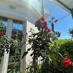 Apartman Toma Crikvenica